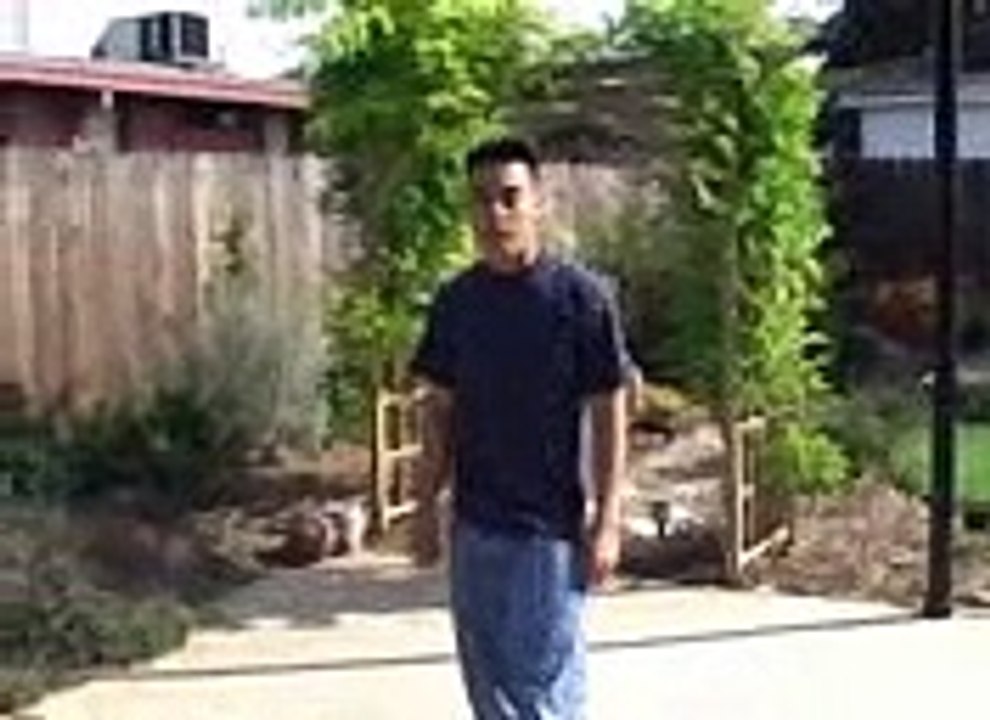 Kung Fu King