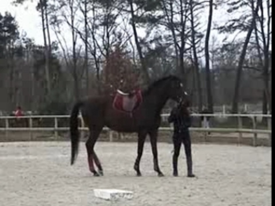 Ma chute de Roi Elie