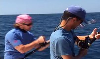 Pacific Bluefin Tuna Tagging.wmv