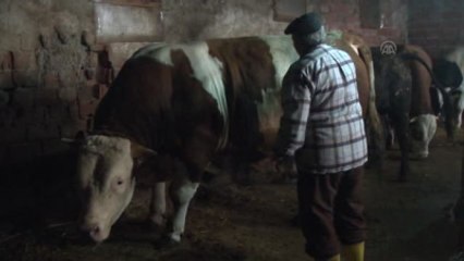 Çoban Ressam" 4 Kez Sergi Açtı