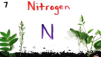 The NEW Periodic Table Song (In Order)