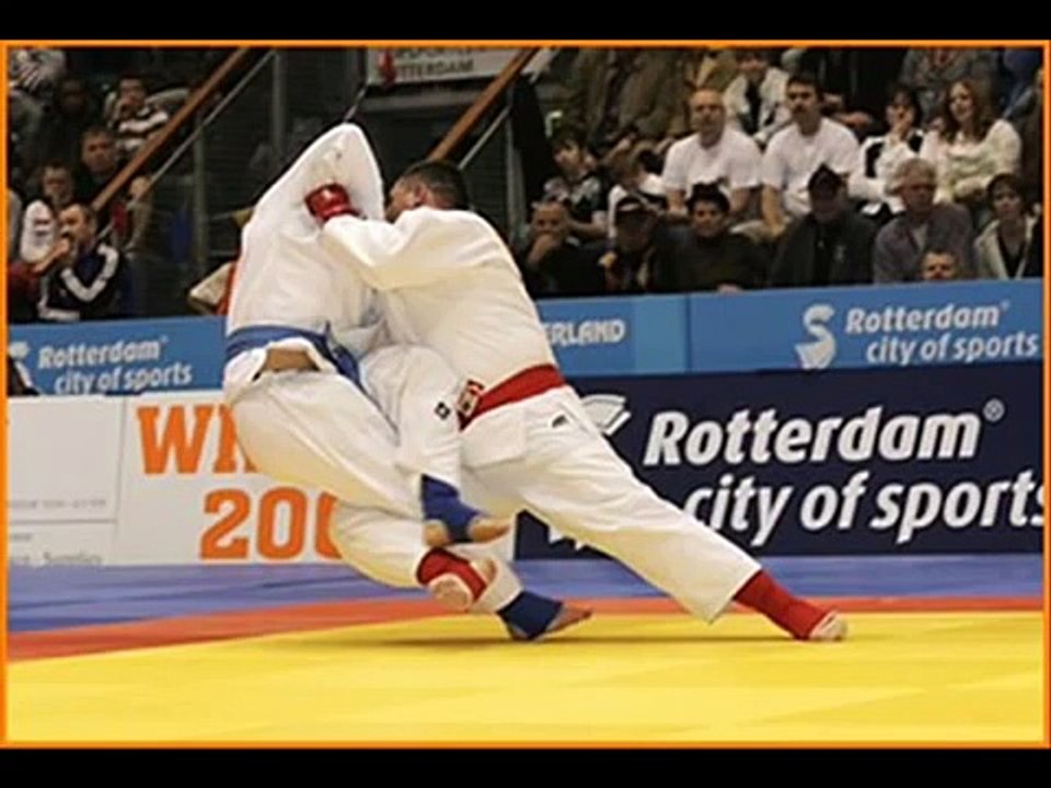 ju-jitsu fighting