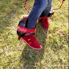 From Red Carpet of OSCAR to Sky