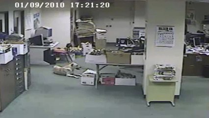 Dog senses earthquake and runs seconds before it happens