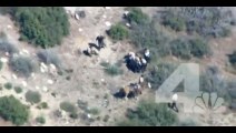 Des policiers de Californie se passent les nerfs sur un voleur de chevaux : bien violent!