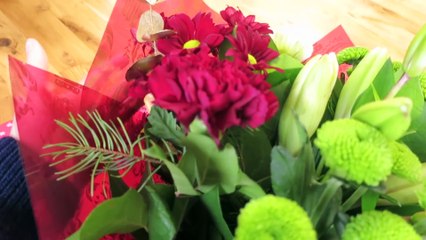 Pugs & Babies at Christmas   Vlogmas