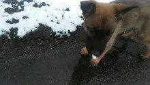 Be Aware Hera @ Schneenase / Snownose