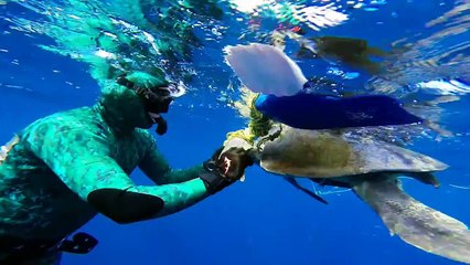 GoPro_ Diver Saves Sea Turtle