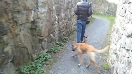 Be Aware HERA @ "Hohle Gasse"