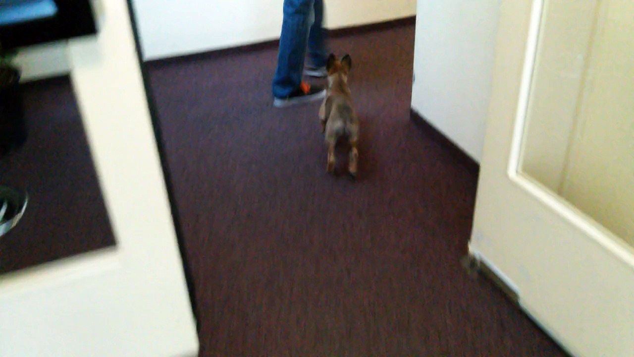 Be Aware HERA @ Hotel Check in