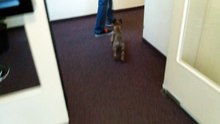 Be Aware HERA @ Hotel Check in