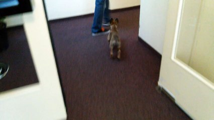 Be Aware HERA @ Hotel Check in