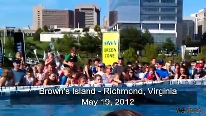 Dog Jumping Competition