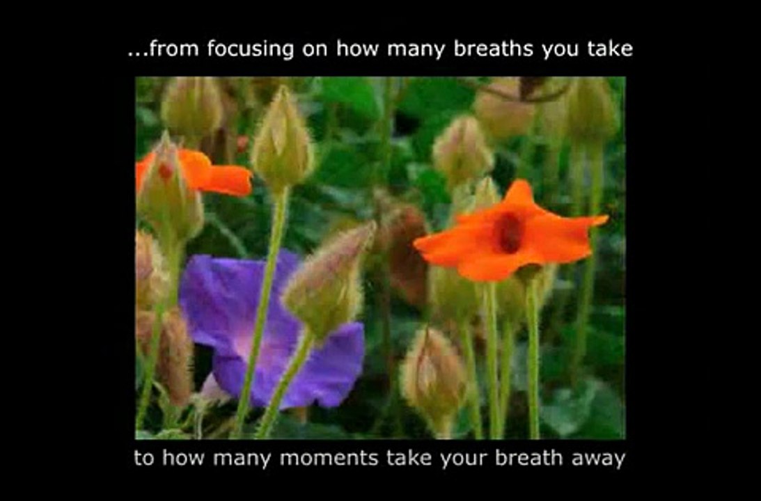 Motivational Video Inspires Excellence