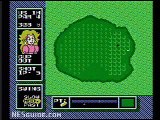 NES Open Tournament Golf - NES Gameplay