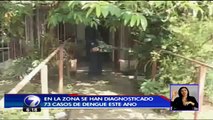 El mosquito del dengue concentra una alta incidencia en Pital de San Carlos