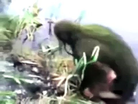 Russian crazy people fail accidents , funny video fails compilation We Love Russia 3 compilation