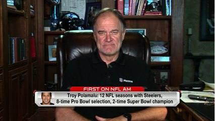 Billick on Polamalu: He's a first ballot Hall of Famer