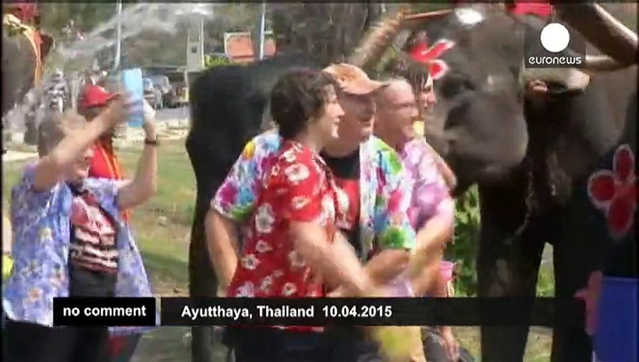 Elephants kick off Thai water festival with a splash