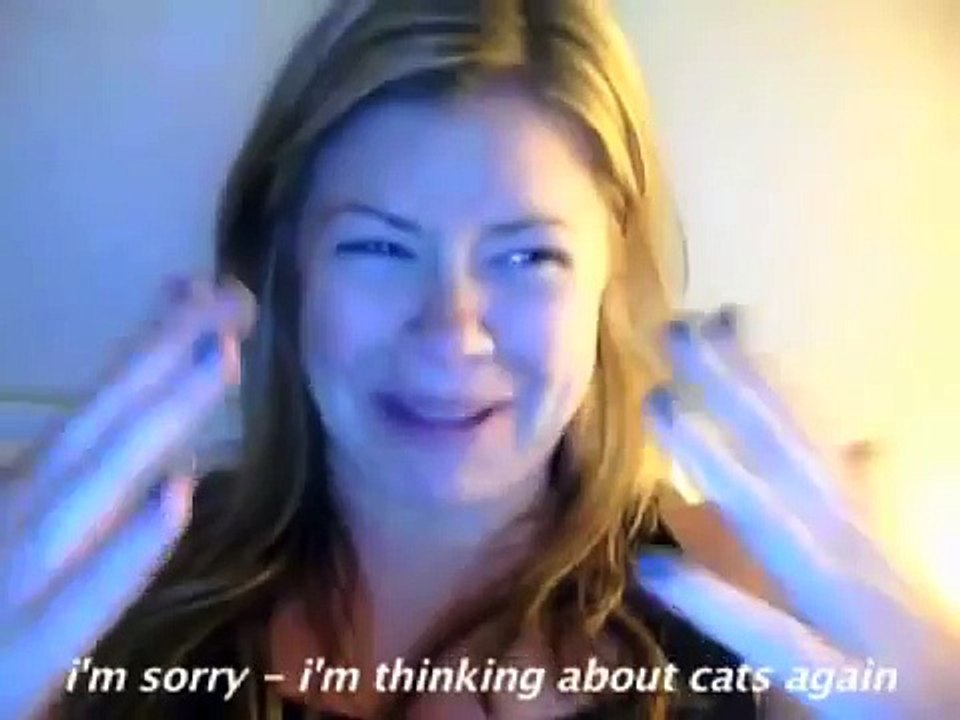 Songify This - CAN T HUG EVERY CAT (now on iTunes) -- a song about loving cats