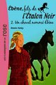 Download Ébène fils de l'Étalon Noir 02 - Un cheval nommé Ébène Ebook {EPUB} {PDF} FB2