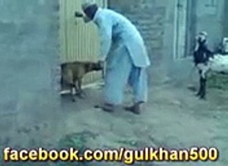 VID-20150410-WA0003.mp4