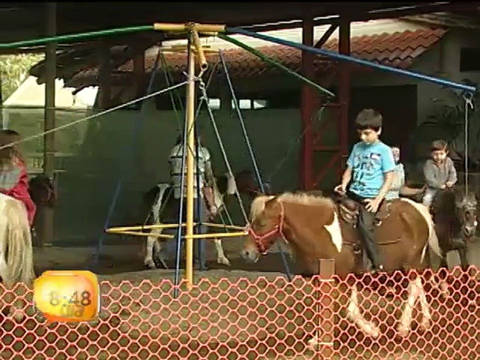 Inbio Parque estrena un carrusel con ponnys de verdad