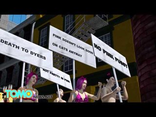 ショッキングピンクの猫死亡？ロシアのモデルが物議