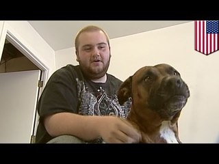 お手柄！ガソリンスタンドの飼い犬が強盗を撃退