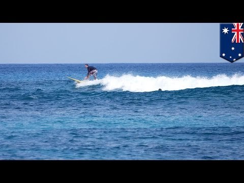 サーフィン中の日本人男性がサメに襲われ死亡