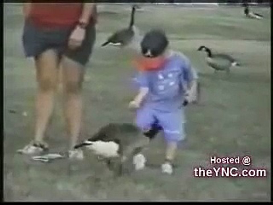 Funniest videos. Can't Stop Smiling