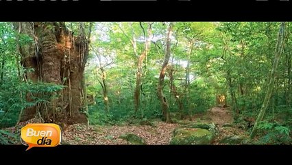 El amor por los mares trajo a un fotógrafo italiano hasta Costa Rica