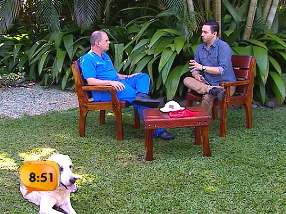 Aprenda a tratar la artritis en los perros
