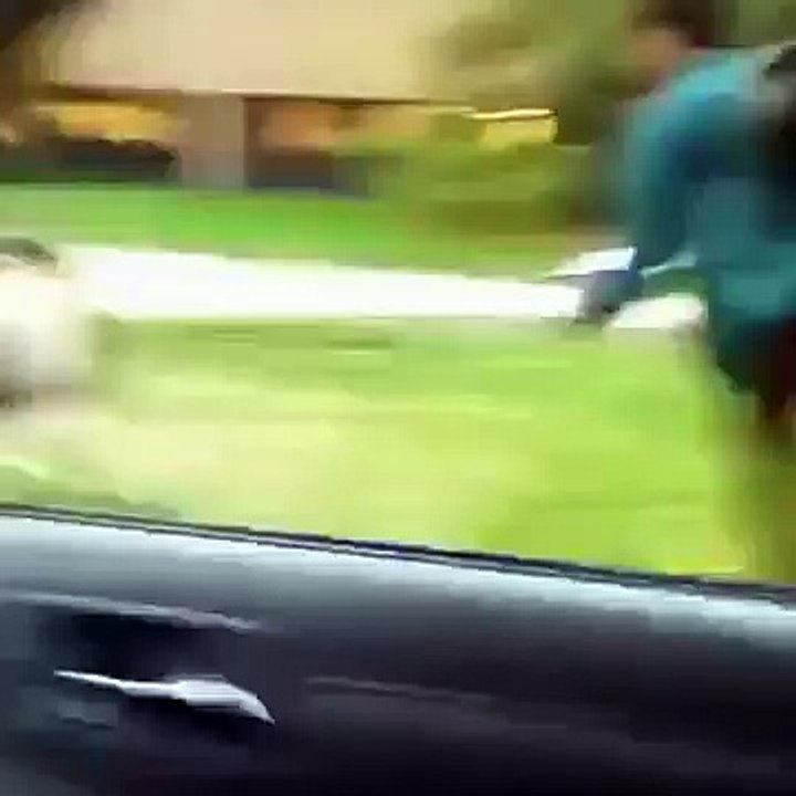 Get that Education Must Watch Very Funny