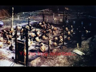 SERU GIRAN: Canción de Alicia en el país