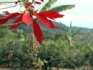 Tómese un café en el pueblo con el chorreador más grande del país