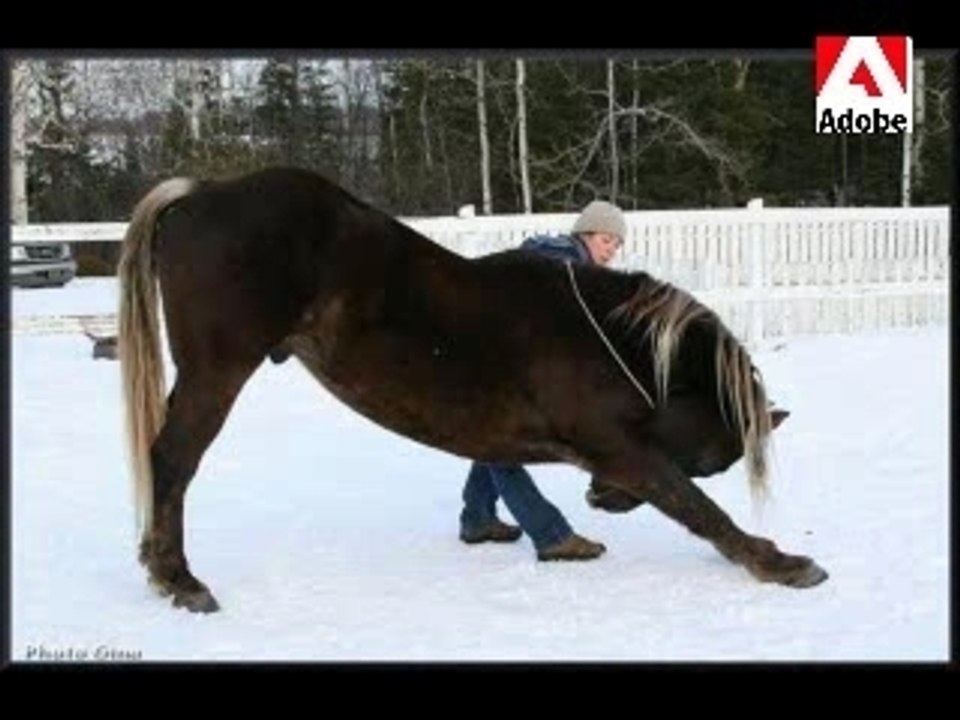 essai montage