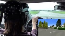 Vehicle In the Loop (Headtracking using Personal Space Tracker)