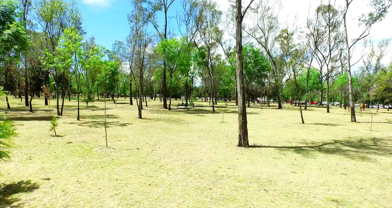 DJI Inspire1 4KTest