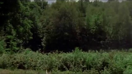 Wrong Turn best scene