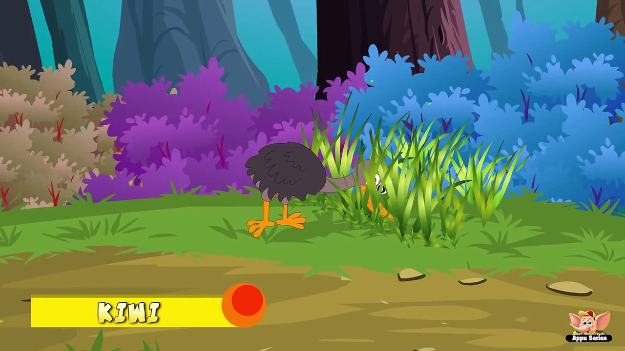 Animal Facts in Hindi - Kiwi