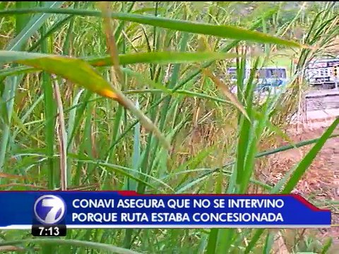 Expertos se muestran preocupados por riesgo de colapso en varios puntos de la ruta 1