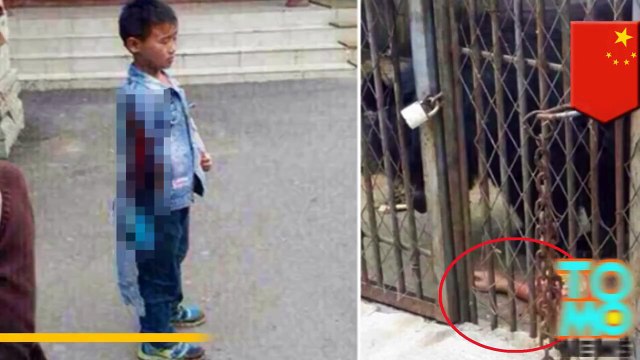 طفل صيني يحاول إطعام دب في حديقة الحيوان ليعض الأخير يده