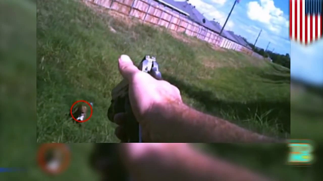 شرطي من مدينة كليبورن في تكساس يستخدم قوة مفرطة مع كلب بيتبول