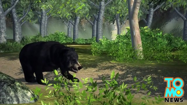 دب أسود يقتل شخصاً من روتغرز في حادثة لم تتكرر منذ 150 عام