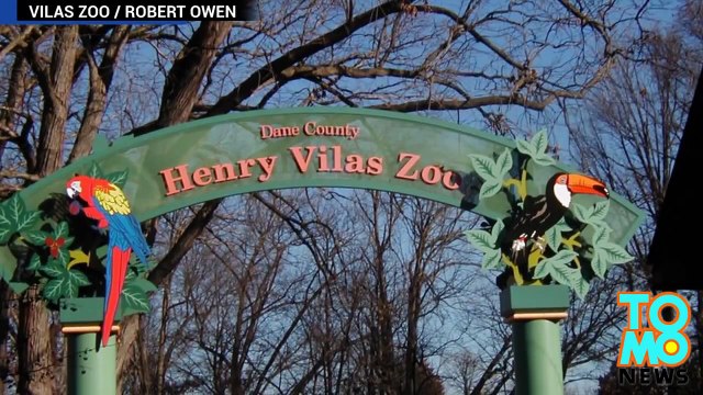 زرافة ترفس سيدة على وجهها بعد أن تسلقت الأخيرة على سياج حيدقة ويسكنسون للحيوانات