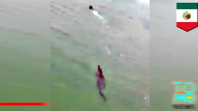 سائح ينجو من التماسيح في مكسيكو