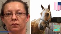 اعتقال امرأة من آلاباما بتهمة سرقة زجاجات جعة وحصان