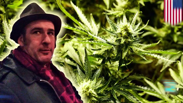 حادث اختفاء صاحب متجر حشيش جيفري جوزيف الذي كان في طريقه إلى مزرعة حشيش