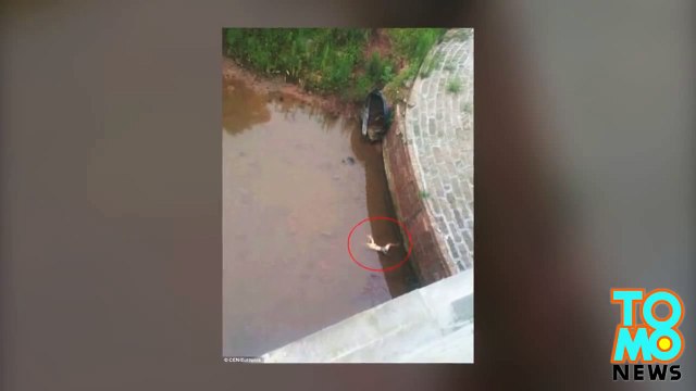 حادث تراجيدي والعثور على جثة مذيعة صيني في بحيرة